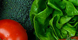 texasveggie Home